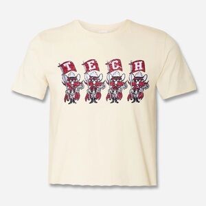 Texas Tech Gray Cropped Flag Squad T-Shirt Size S